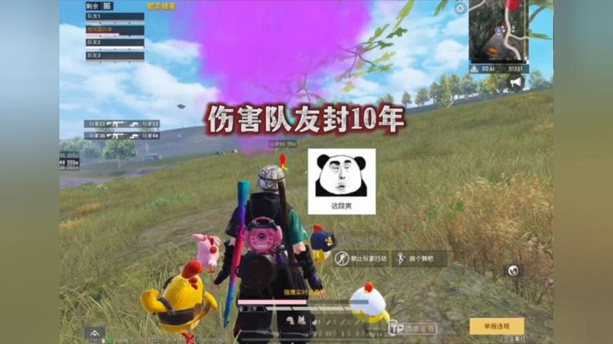 和平精英辅助【小飞侠】